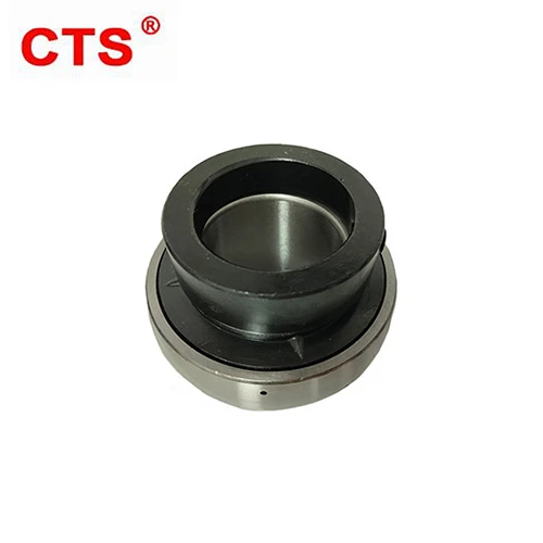 Insert Bearing